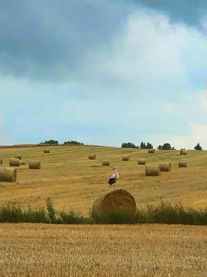 Agroturystyka „Nadbuzanski Swit” Wola Uhruska Exterior photo